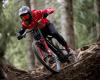 Pirelli Launches New Scorpion Gravity MTB Tire Range